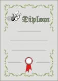 DIPLOM D04 - KUŽELKY