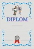 DIPLOM D12 - VOLEJBAL