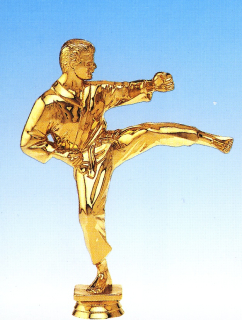 Soška - F 79 Karate